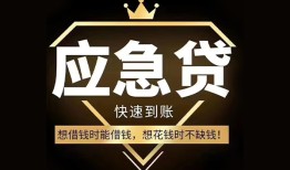 成都29小额贷款官网-成都29私人借贷-成都29小额贷款当天放款