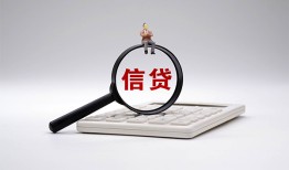 成都29大额短借-成都29哪里可以借钱-成都29个人工程贷款
