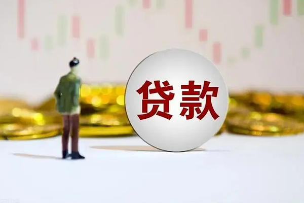 成都29借款短借